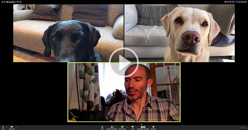 That BBC Sports Broadcaster is Back For a Zoom Call With His Dogs