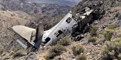 Botanist Looking for Rare Plants Stumbles Upon Plane Crash from 1952