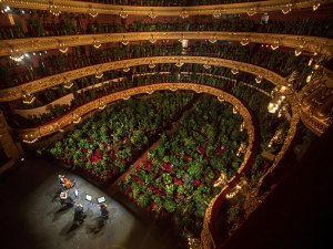 barcelona opera reopens to a packed crowd of house plants 1 Barcelona Opera Reopens to a Packed Crowd of House Plants 1