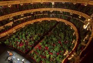 Barcelona Opera Reopens to a Packed Crowd of House Plants