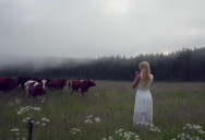 This Ancient Scandinavian Herding Call is So Hauntingly Beautiful It Brings a Herd Of Cows In