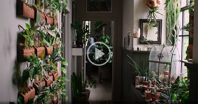 Kinda Obsessed with this Baltimore Apartment Completely Filled with ... - Bring Life Apartment Place Where Plants Make