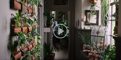 Kinda Obsessed with this Baltimore Apartment Completely Filled with House Plants