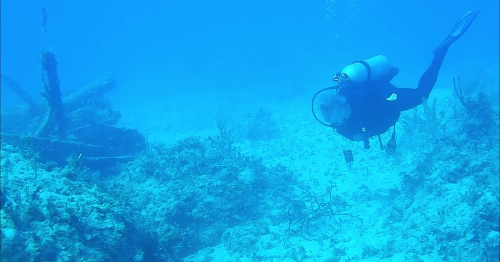 These Scuba Divers Got Pinged by a Submarine Sonar and It Sounds So Bizarre