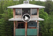 Amazing 2 Story Treehouse Built From 20 Years of Collecting Scrap Materials