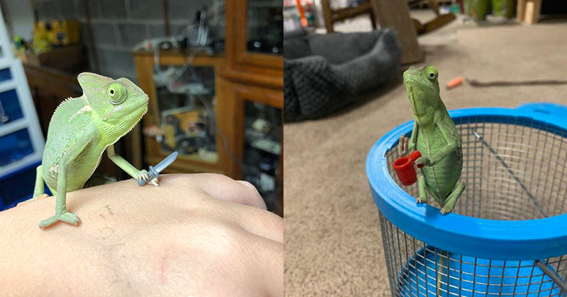 Just a Lizard Holding a New Lego Prop Each Day
