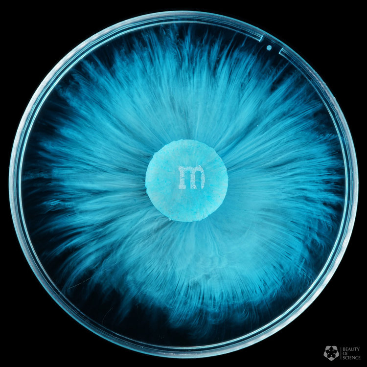 This Beautifully Shot 4K Video of M&M’s Dissolving in Water is Literal ...