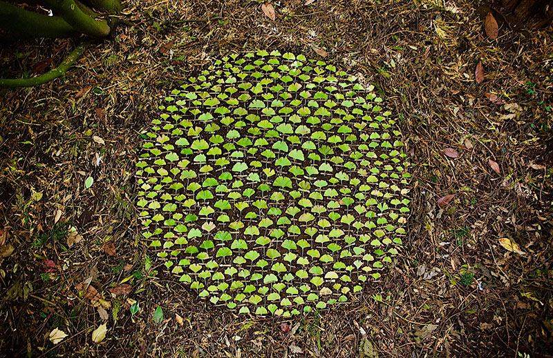 James Brunt Uses Fall Foliage to Create Temporary Works of Earth Art ...