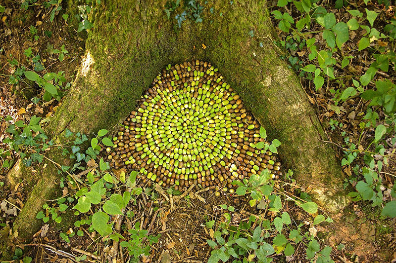 earth art by james brunt 2020 7 James Brunt Uses Fall Foliage to Create Temporary Works of Earth Art