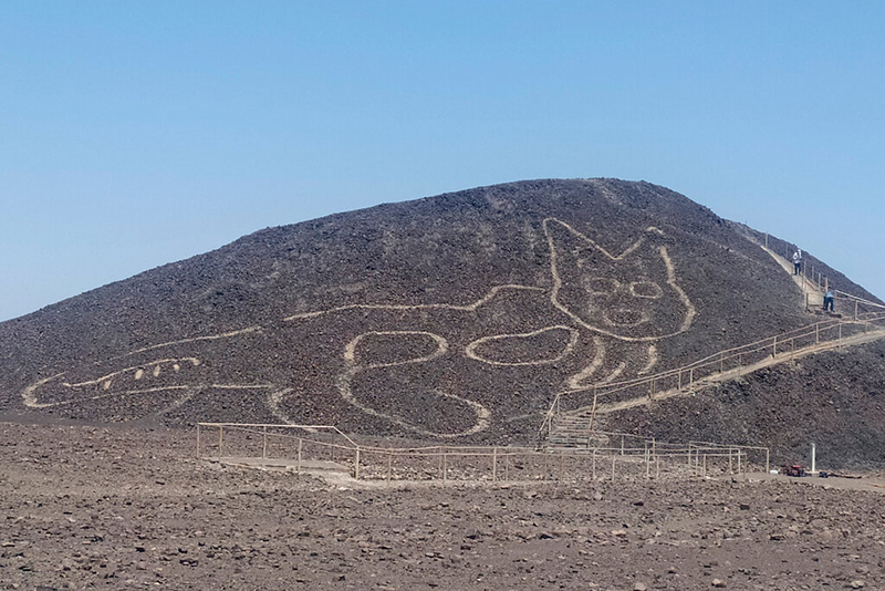 giant cat etched into peruvian hillside believed to be over 2000 years old 2 Giant Cat Etched Into Peruvian Hillside Believed to Be Over 2,000 Years Old