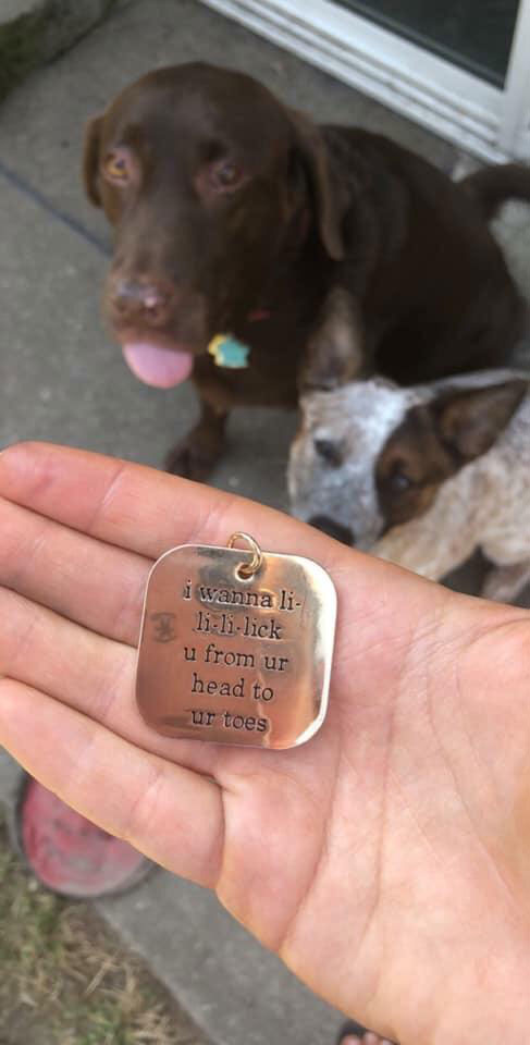 funny dog id tags collars 1 Dog Tags are Always Useful and Sometimes Hilarious (13 Pics)