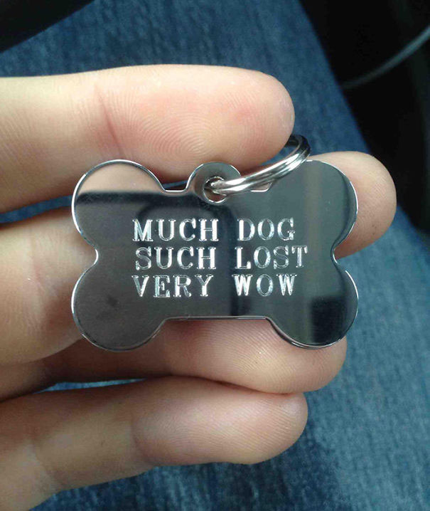 funny dog id tags collars 7 Dog Tags are Always Useful and Sometimes Hilarious (13 Pics)