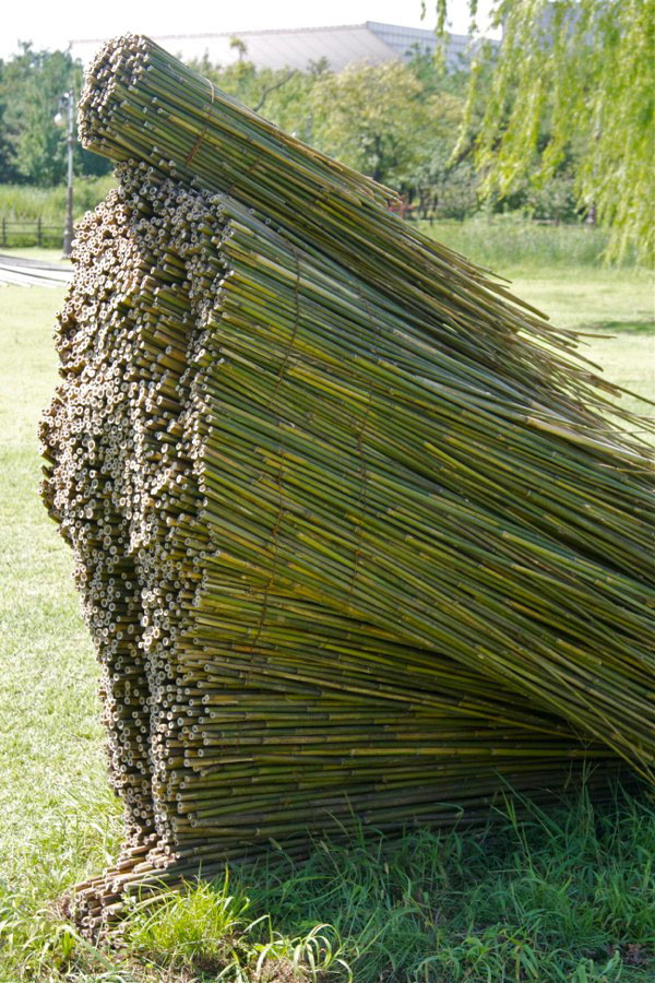 olga ziemska bamboo willow branch art 2 Stillness in Motion by Olga Ziemska