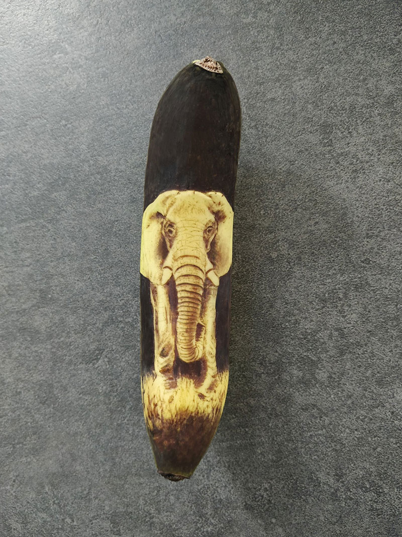 bruised banana art by anna chojnicka 27 Amazing Banana Art Made by Poking and Bruising the Skin, No Ink is Used