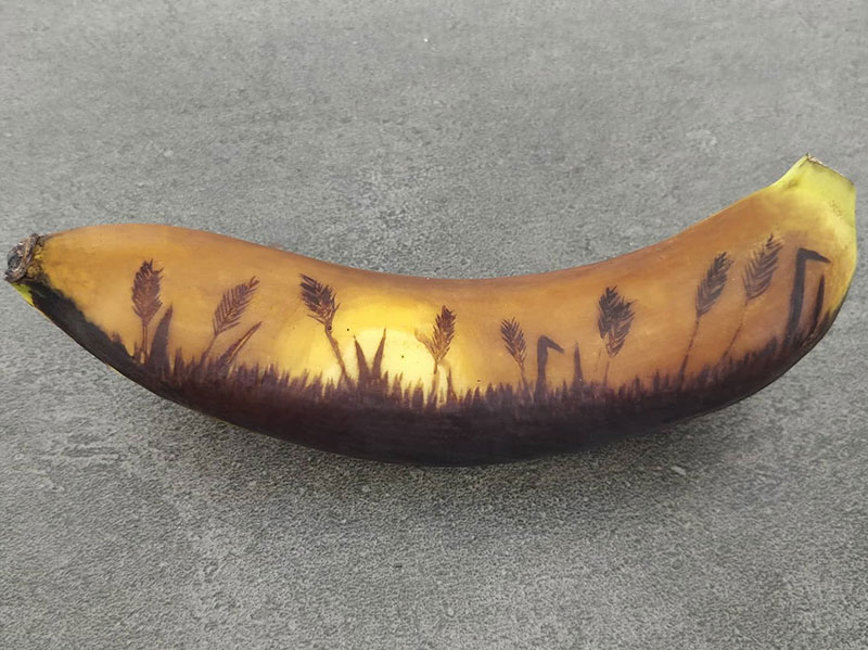 bruised banana art by anna chojnicka 8 Amazing Banana Art Made by Poking and Bruising the Skin, No Ink is Used