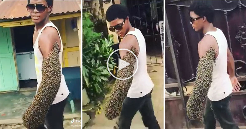 Guy Casually Walks Down the Street with Arm Covered in Bees