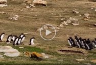 Adding Monsters to Thrift Store Paintings