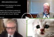 Lawyer Joins Virtual Court Hearing in Texas with Cat Filter On and Can’t Disable It