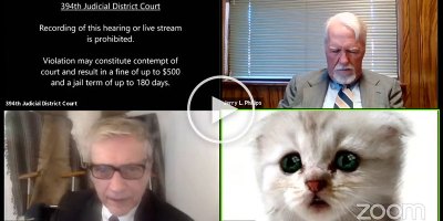 Lawyer Joins Virtual Court Hearing in Texas with Cat Filter On and Can't Disable It