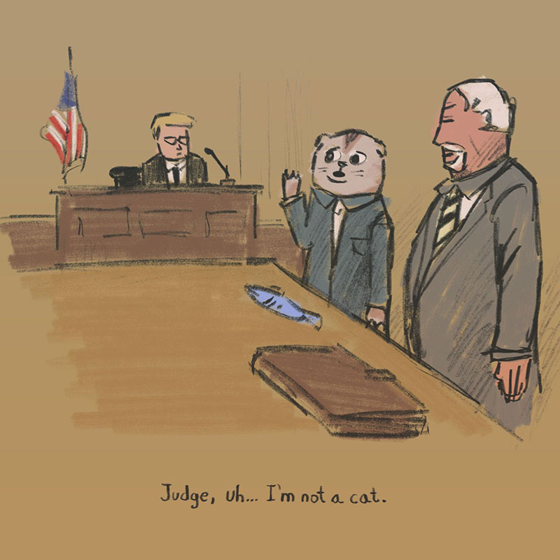 he used to be a cat, now he's a lawyer