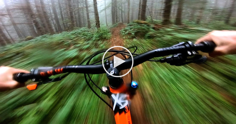 This Mountain Bike Ride Through a Foggy Forest Looks Incredible