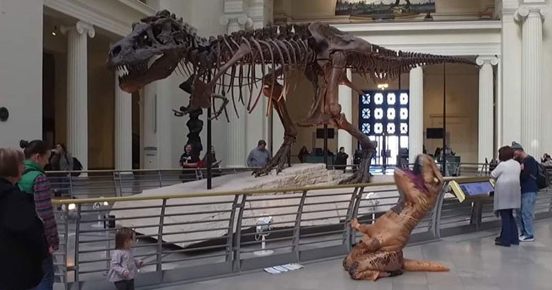 The Shirk Report - Volume 616