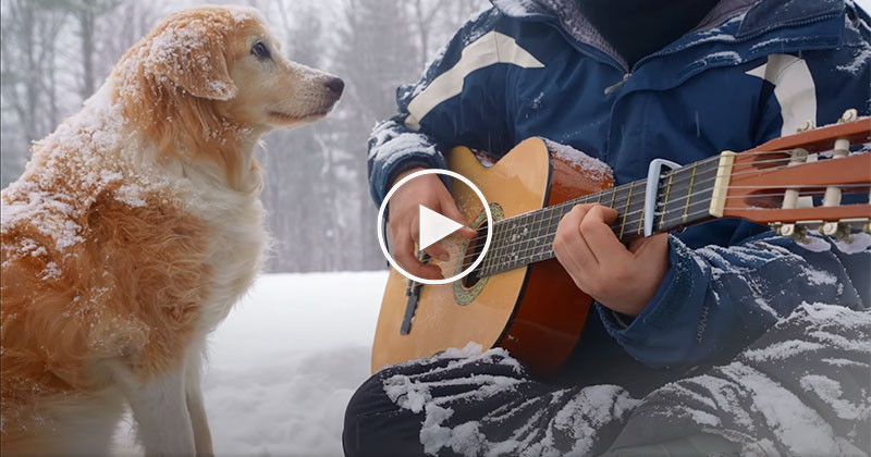 May This Brief Musical Interlude Find You Well Today