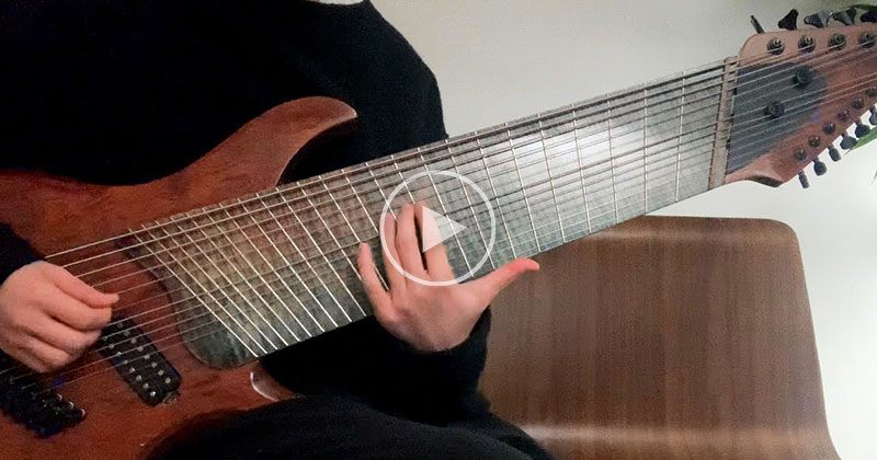 In Case You've Never Seen (or Heard) a 14 String Guitar