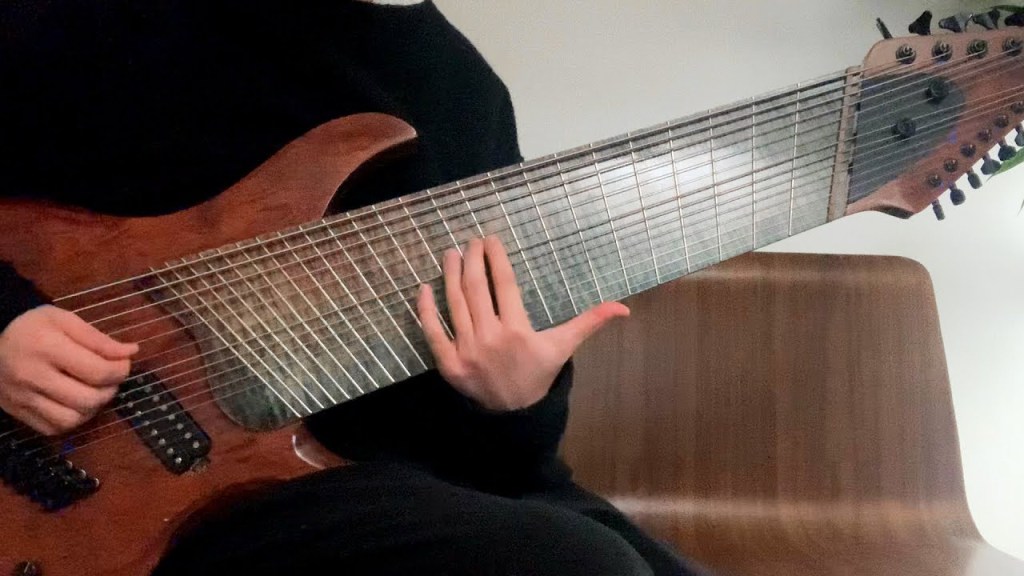 In Case You've Never Seen (or Heard) a 14 String Guitar