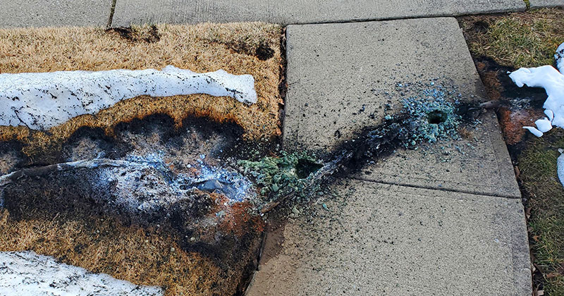 A Live Power Line Fell and Did This to the Ground