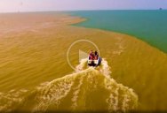 During Flood Season, the Yellow River Surges Into the Bohai Sea and It Looks Surreal