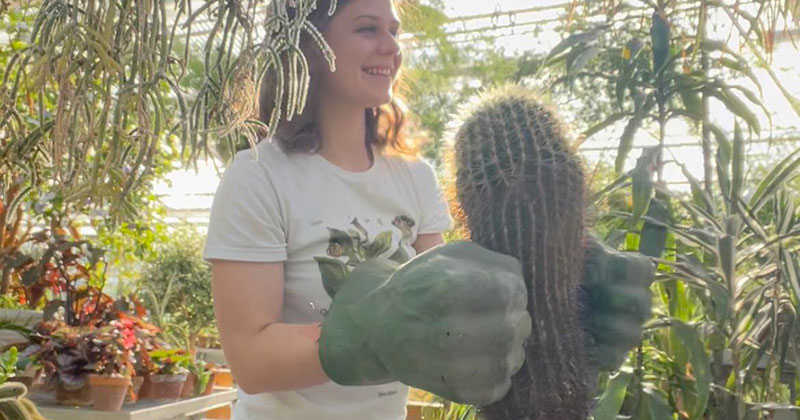 moving cactus with hulk hands The Shirk Report – Volume 633