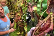 Incredible Cement Factory Conversion in Barcelona [30 pics]