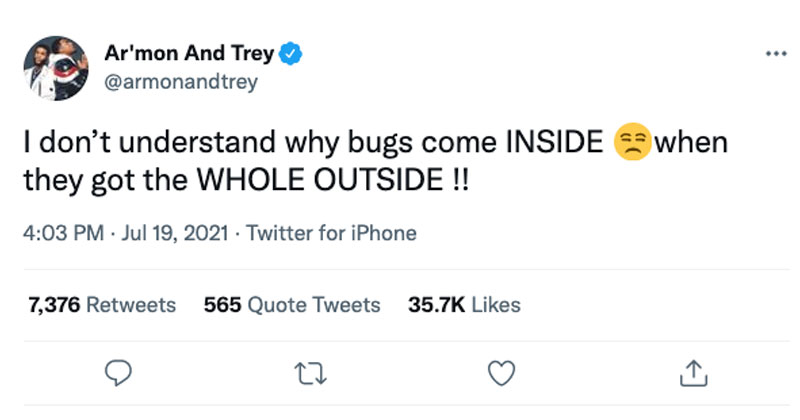 stay outside bugs tweet The Shirk Report – Volume 640