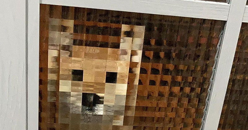 Pixel Dog