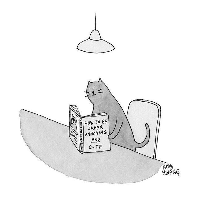  10 New Yorker Cartoons to Brighten Your Week