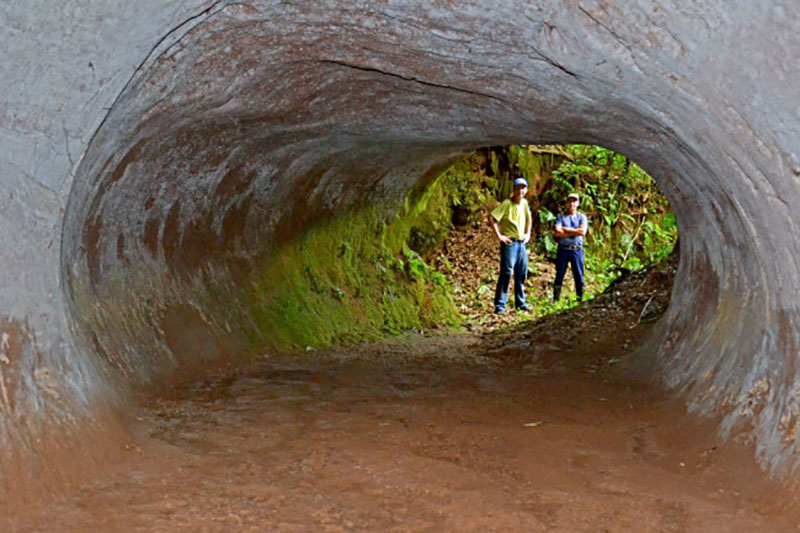 These Tunnels Were Dug by Giant Ground Sloths that Lived 10000 Years Ago 1 These Tunnels Were Dug by Giant Ground Sloths that Lived 10,000 Years Ago