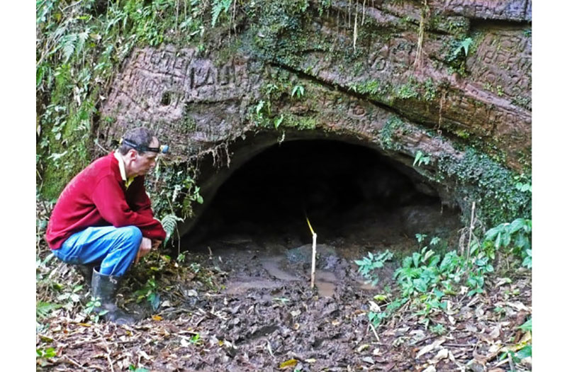 These Tunnels Were Dug by Giant Ground Sloths that Lived 10000 Years Ago 6 These Tunnels Were Dug by Giant Ground Sloths that Lived 10,000 Years Ago