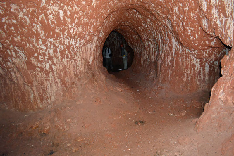 These Tunnels Were Dug by Giant Ground Sloths that Lived 10000 Years Ago 9 These Tunnels Were Dug by Giant Ground Sloths that Lived 10,000 Years Ago
