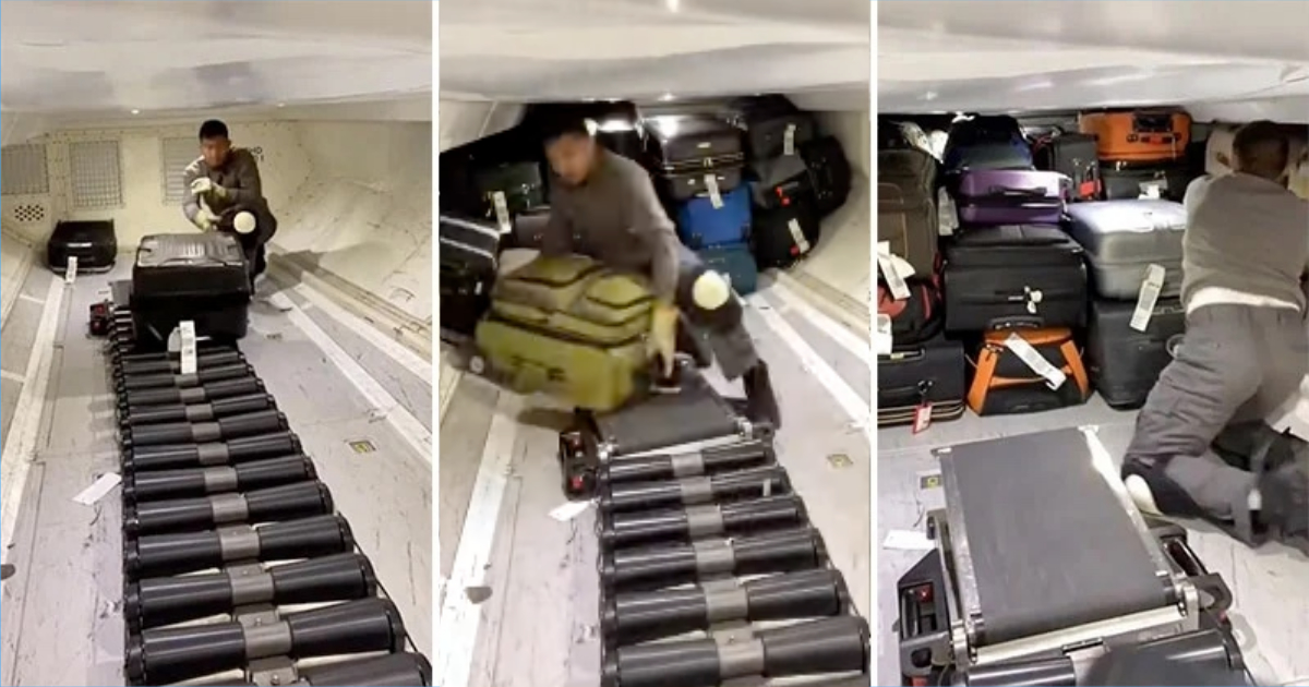 How 100 Checked Bags are Stored in a Plane » TwistedSifter