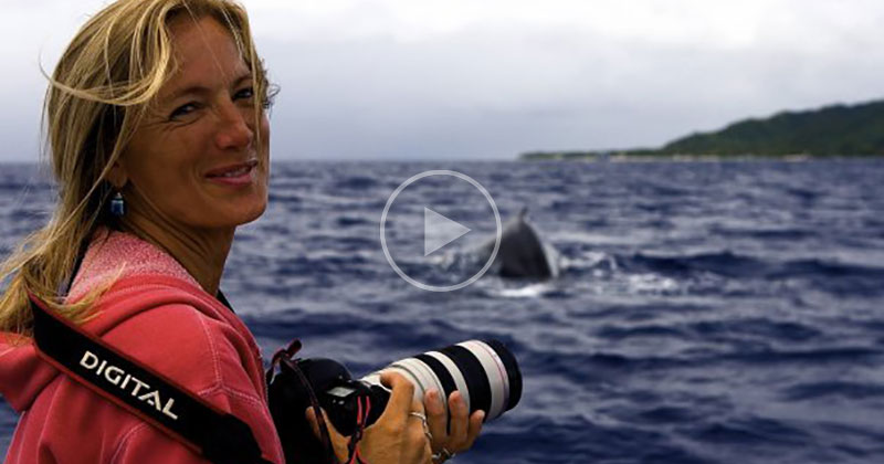 A Humpback Whale Saved this Scientist’s Life and Her Story is Amazing
