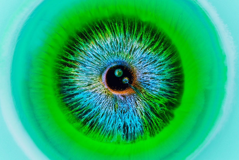 heterochromia iridum by rus khasanov 1 Mixing Liquids to Mimic the Visual Complexity of Human Eyes