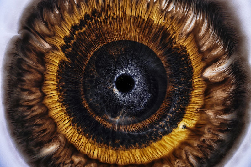 heterochromia iridum by rus khasanov 2 Mixing Liquids to Mimic the Visual Complexity of Human Eyes