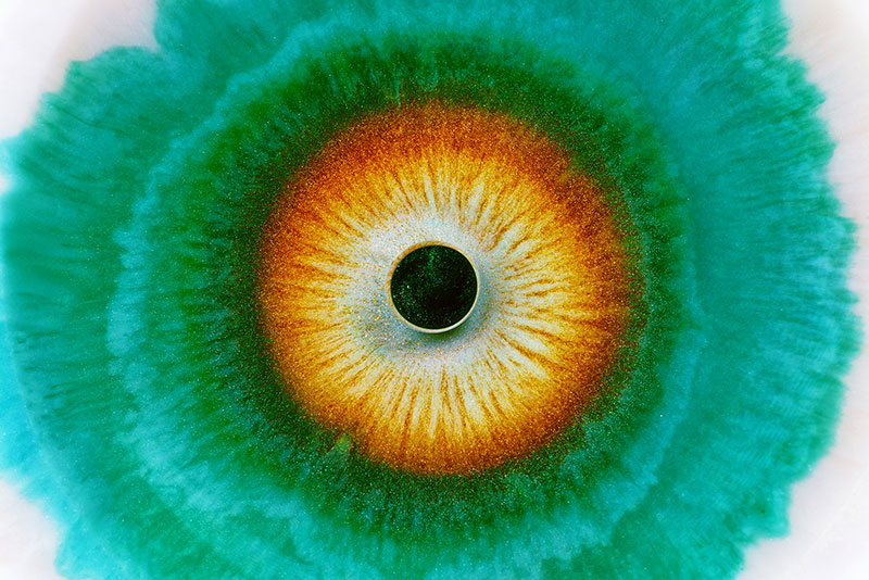 heterochromia iridum by rus khasanov 7 Mixing Liquids to Mimic the Visual Complexity of Human Eyes