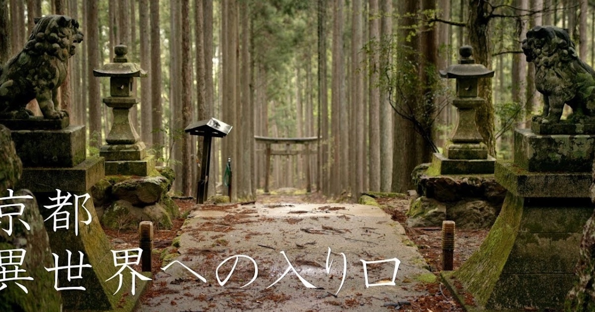 A Stunning Secret Spot Within the Forest of Kyoto, Japan