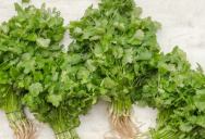 This Is Why Some Folks Think Cilantro Tastes Like Soap