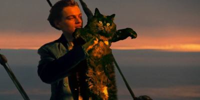 Someone Made a Spoof of “Titanic” With Kate Winslet Replaced by a Cat