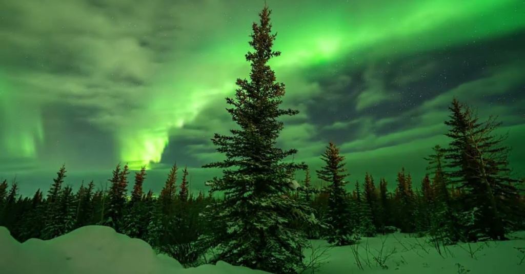 The Northern Lights in Alaska Are a Sight to Behold and This Video Compilation Proves It