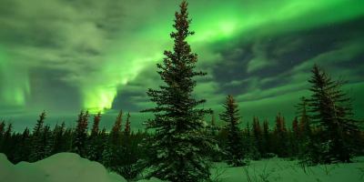 The Northern Lights in Alaska Are a Sight to Behold and This Video Compilation Proves It