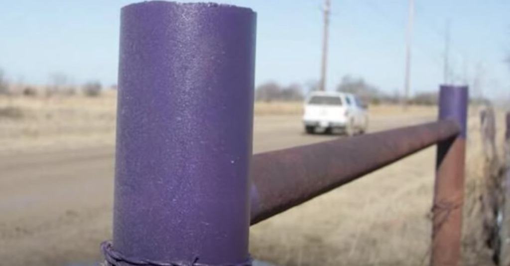 If You See Purple Paint on a Fence Post, This Is What It Means